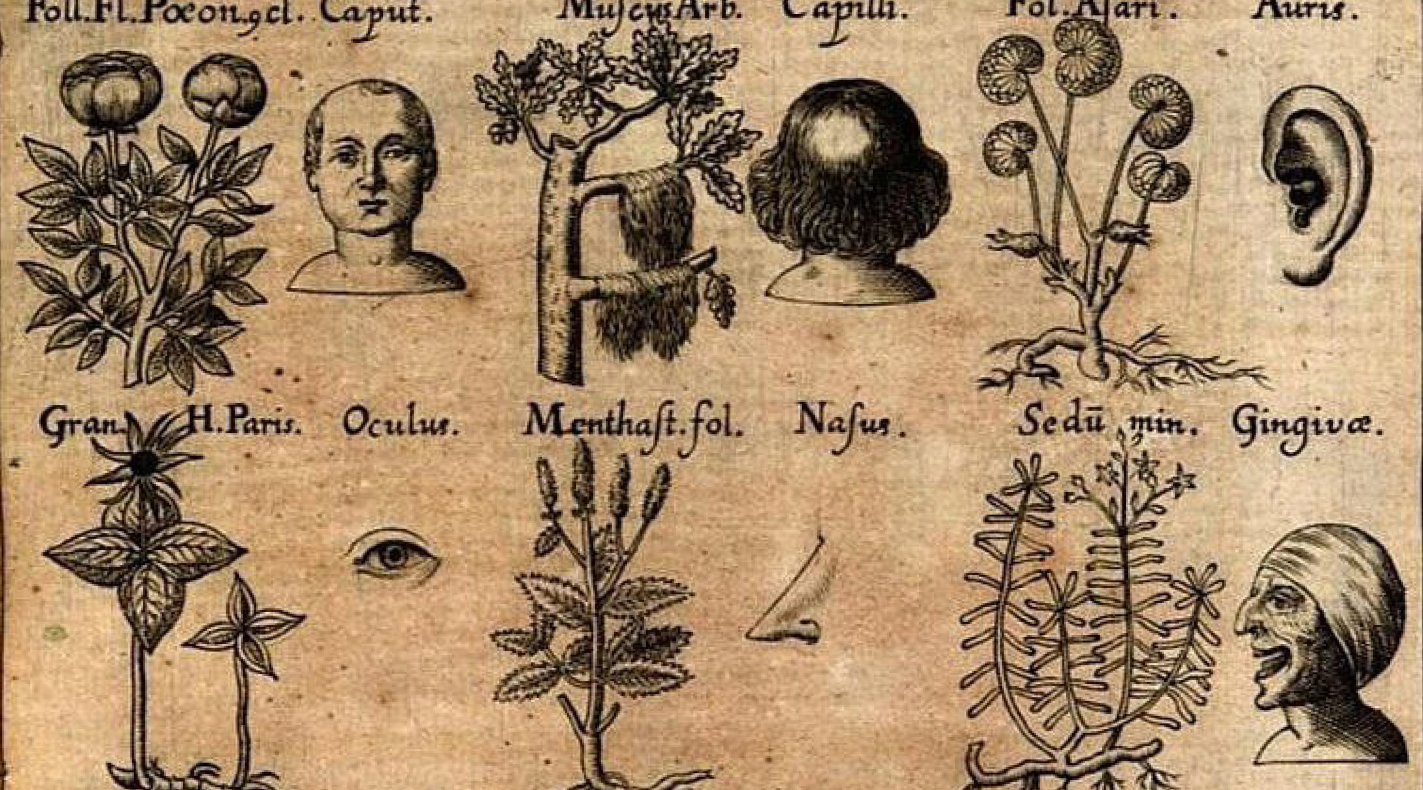 Convegno Dottorale Naturalia