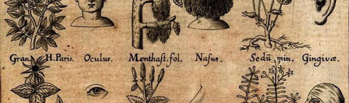 Convegno Dottorale Naturalia